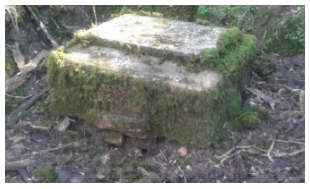 fig 24 unmaintained spring