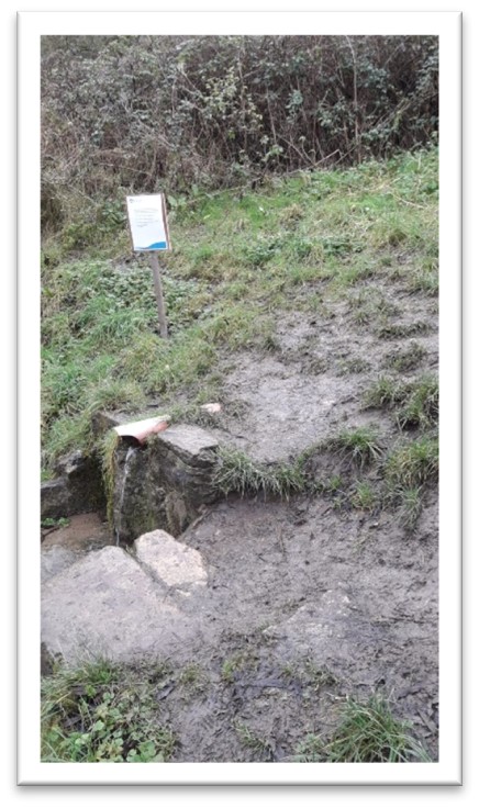 This image shows a pipe emanating from a canal bank with water flowing from it.